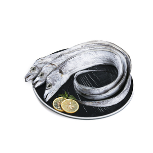 带鱼舟山特大整条小眼睛东海新鲜冷冻鲜活海鲜水产雷达网大带鱼级