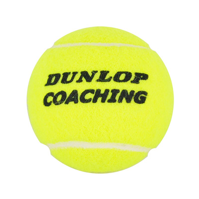登路普coaching耐磨耐打王子网球