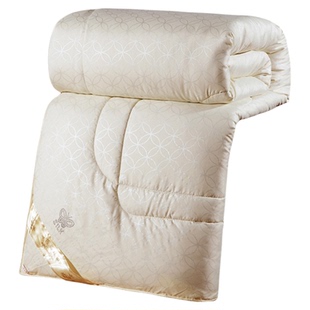 蚕丝被子冬被冬天加厚丝棉被芯春秋被太空调双人单人学生被褥冬季