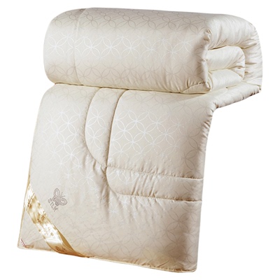 加厚冬被工厂直销蚕丝