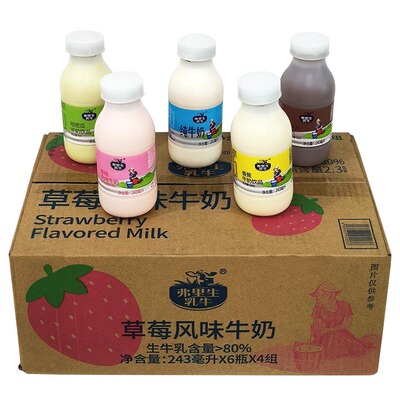 全脂牛奶成人学生弗里生乳牛早餐