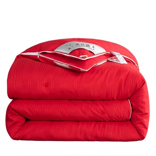 桐乡纯手工真丝蚕丝被100%桑蚕丝夏凉被子母被二合一春秋婚庆被芯