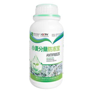 小麦分裂列蘖宝防冻宝液防冻剂抗逆抗寒减轻冻害大田作物农用通用