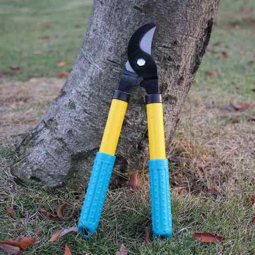 厂家直销园艺剪刀修枝剪果树剪粗剪花修园林工具剪子枝剪树枝