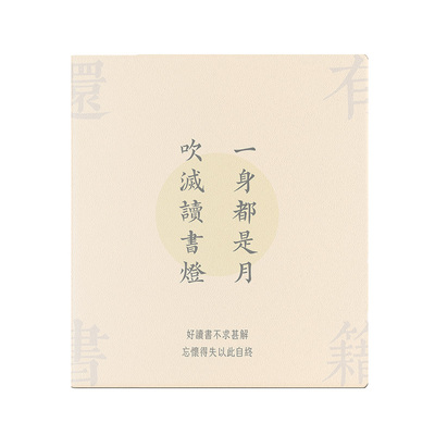 中国风掌阅Ocean5磁吸保护套