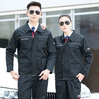 Audi, осенний комплект