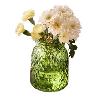 网红简约透明矮花瓶摆件敞口玻璃宽口餐桌大口径装饰玻璃花瓶