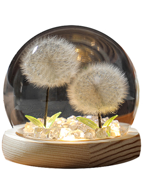 永生花蒲公英可发光摆件装饰