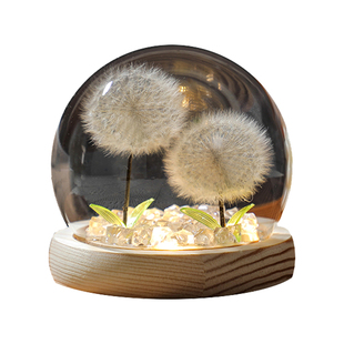 永生花蒲公英干花不凋谢花束摆件可发光装饰送男女朋友妇女节礼物