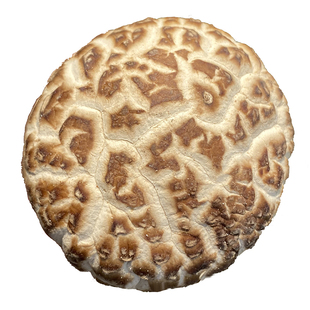 左乐｜湖北随州花菇特产农家出口级特厚肉质白花菇菌子香菇干蘑菇