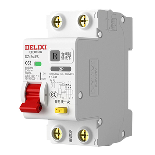 德力西漏电保护器家用双进双出DZ47SLES漏保63A空开带漏保省空间