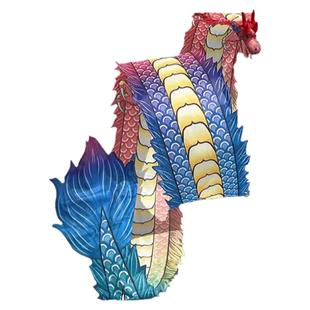 广场舞中老年人男女健身龙带甩彩带中国飞龙钢架龙头舞龙表演道具