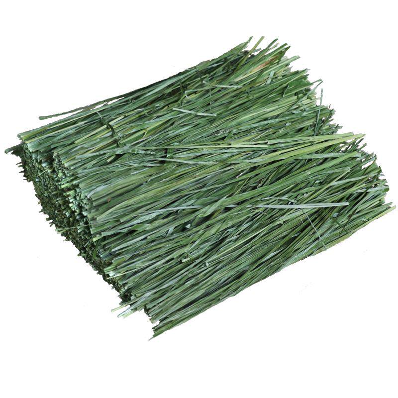 26年兔子草提摩西嫩草甘肃归乡提毛重提草荷兰猪龙猫干草北提牧草