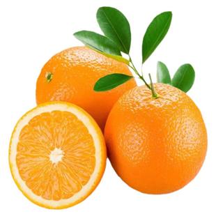 9斤包邮湖北秭归脐橙九月红橙秋橙青橙子纽荷尔橙新鲜水果