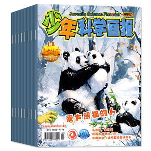 少年科学画报杂志2026年1-2月（另含全年/半年订阅/2025全年）青少年小学初中生儿童自然漫画绘本科学读物意林少年科学2024过刊