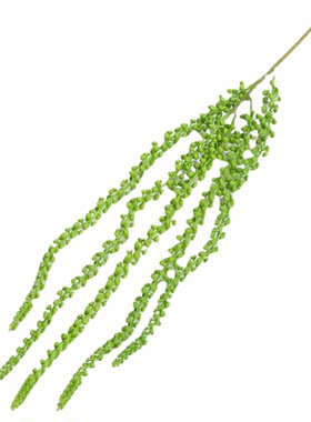 挂壁装饰仿真多肉植物情人泪吊兰
