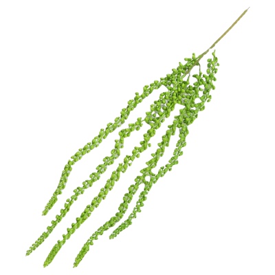 挂壁装饰仿真多肉植物情人泪吊兰