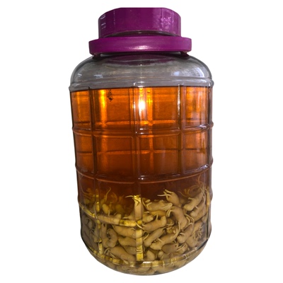 顺丰包邮成品泡好野生灰色红皮老鼠酒小白鼠幼崽仔泡酒2斤装药酒