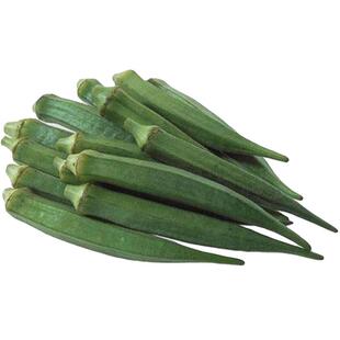 黄秋葵种籽绿黄秋葵种子红秋葵种孑苗阳台盆栽春秋季播种菜农专用