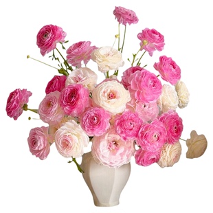 洋牡丹鲜切花鲜花云南基地直发顺丰次日达家用插花水养花室内花束