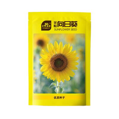 史丹利向日葵花种子四季播种