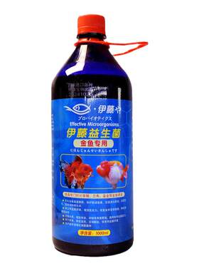 伊藤益生菌兰寿泰狮金鱼专用EM菌
