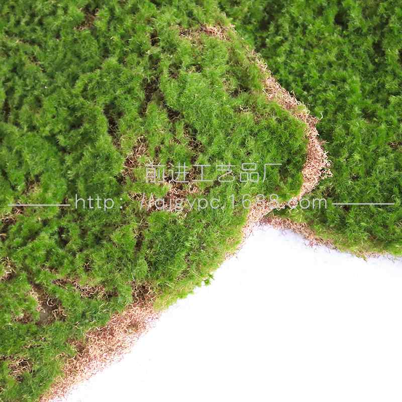 大灰藓草坪假草皮人造绿化塑料人工装饰草坪绿色苔藓装饰景观