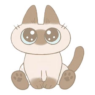 KKV正品暹罗猫小豆泥20cm系列毛绒公仔周边喵咪豆泥抱枕玩偶礼物