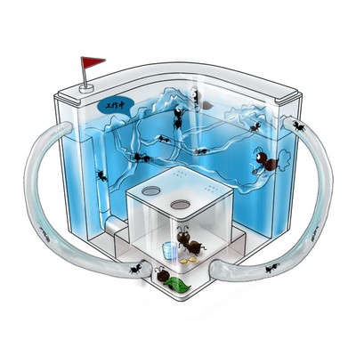 有趣生物蚂蚁工坊弓背蚁蚁巢庄园