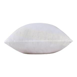 抱枕芯客厅沙发靠背芯靠垫芯长方形内胆芯正方形靠背芯床头靠背芯