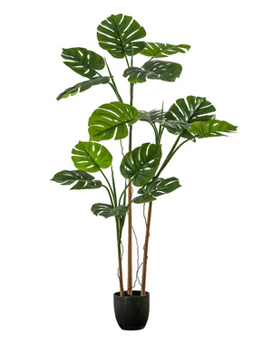 仿真多杆龟背竹盆栽假树植物装饰