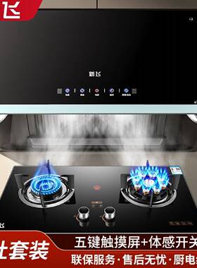 新飞中式顶吸油烟机燃气灶套装抽油烟机煤气灶具烟机灶具两件套餐