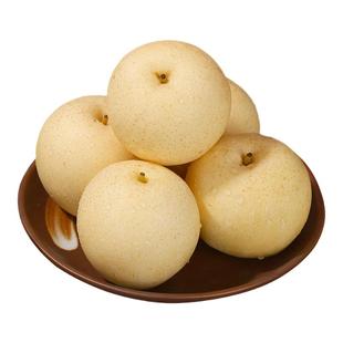 现摘新鲜水果梨子大果河北皇冠梨10斤整箱雪梨鸭梨水晶梨砀山梨