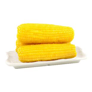 新日期清涟山西忻州新玉米五寨黄糯甜玉米真空装健康早餐加热即食