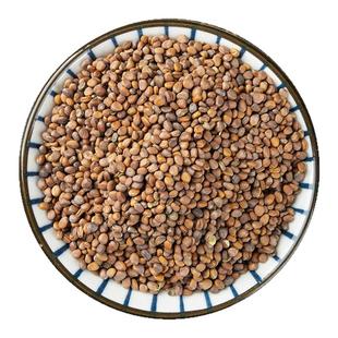 莱菔子中药材500g正品野生来福子白萝卜籽炒熟来菔子磨粉泡茶泡水