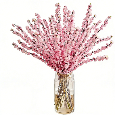 珍珠李雪柳澳洲腊梅水培易养