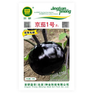 京研茄子种子紫黑圆茄长线茄种籽白茄子鸡蛋茄耐热农科院蔬菜籽孑