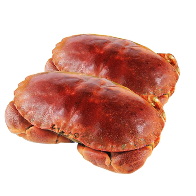 面包蟹超大黄金蟹速冻英国黄道蟹