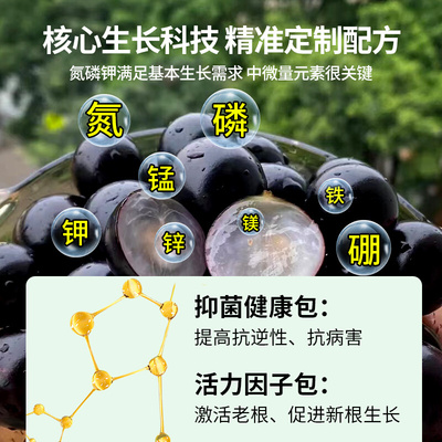 坤宁王嘉宝果营养液专用肥料珍宝果小硕挂果树葡萄复合颗粒缓释肥