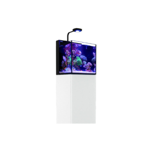 红海REDSEA新款Max背滤缸 /REEF Nano专业海水鱼缸MINI珊瑚小海缸
