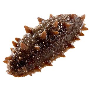 大连海参即食海参鲜食纯淡干独立包装无添加大连干海参礼盒干海参
