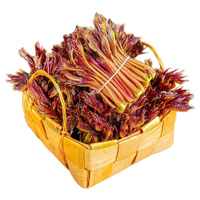 现货！四川红油香椿芽新鲜嫩芽露天3斤当季时令蔬菜春芽野生头茬