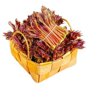 现货！四川红油香椿芽新鲜嫩芽露天3斤当季时令蔬菜春芽野生头茬