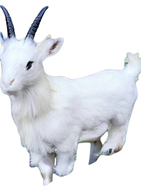 羊年吉祥物仿真山羊五蓄小动物