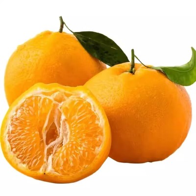【拉新专属】2斤装四川春见耙耙柑桔子新鲜水果多汁橘子新鲜采摘