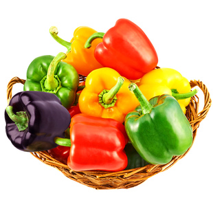 五彩甜椒种子青椒种子红椒黄高产甜椒种籽四季辣椒春南方蔬菜种孑