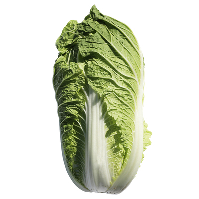 义和秋白菜种子四季蔬菜