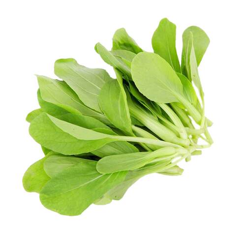 鸡毛菜菜籽油菜种子上海青菜蔬菜种籽大全秋冬阳台盆裁小白菜四季