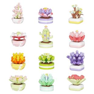 潮乐创多肉积木花植物盆栽拼装玩具摆件送女朋友生日教师节日礼物