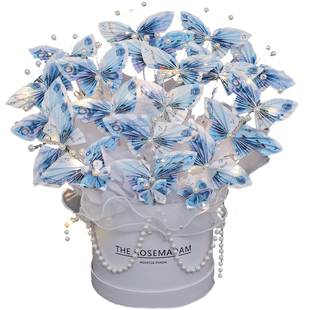 创意diy手工自制蝴蝶有钱花抱抱桶材料包套装女友生日情人节礼物